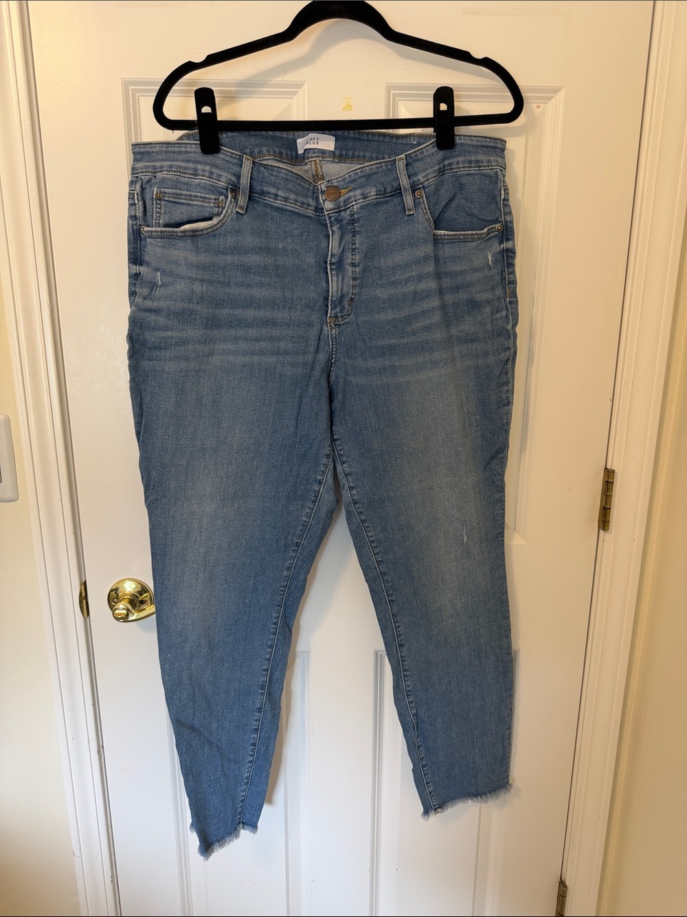 LOFT Plus Light Blue Modern Skinny Jeans 20 - Raw Hem